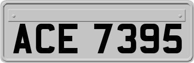 ACE7395