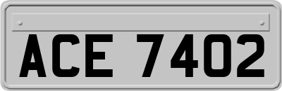 ACE7402