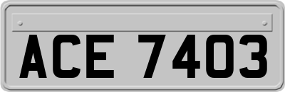 ACE7403