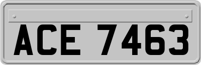 ACE7463