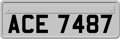 ACE7487