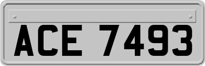 ACE7493