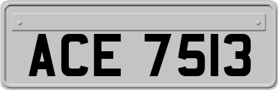 ACE7513