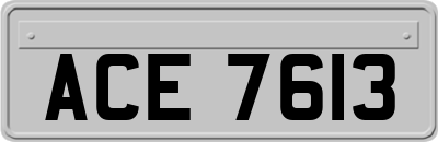 ACE7613