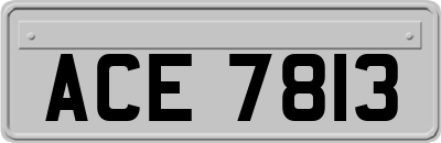 ACE7813
