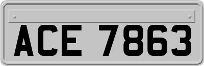 ACE7863