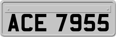 ACE7955