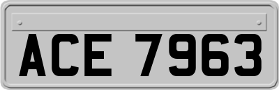 ACE7963