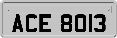 ACE8013