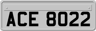 ACE8022