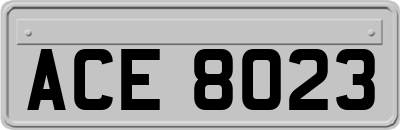 ACE8023