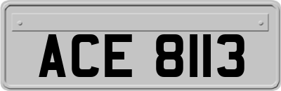 ACE8113