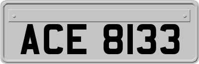 ACE8133