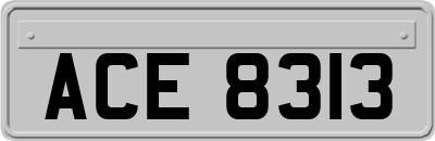 ACE8313