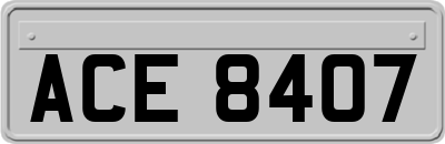 ACE8407