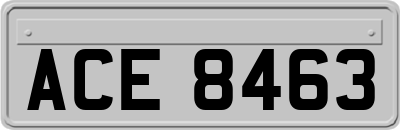 ACE8463