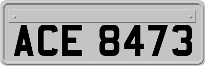ACE8473