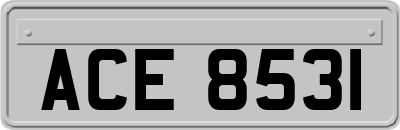 ACE8531