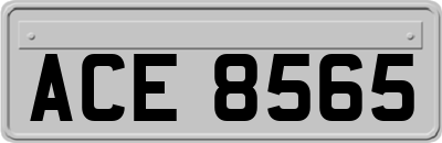 ACE8565