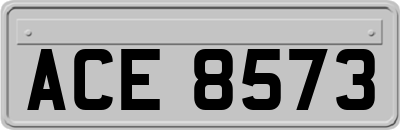 ACE8573