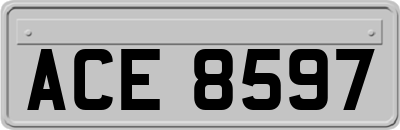 ACE8597