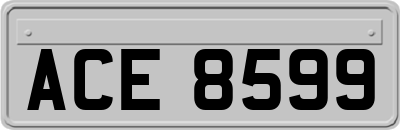 ACE8599