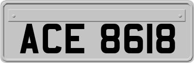 ACE8618