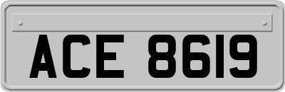 ACE8619