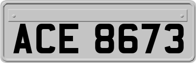 ACE8673
