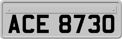ACE8730