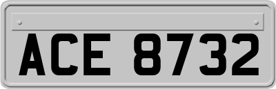 ACE8732