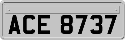 ACE8737