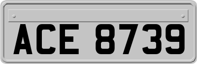 ACE8739