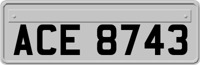 ACE8743
