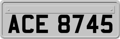 ACE8745
