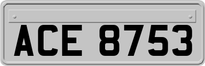 ACE8753