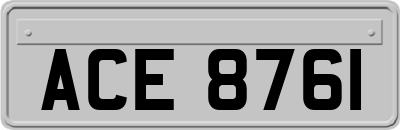ACE8761