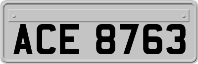 ACE8763