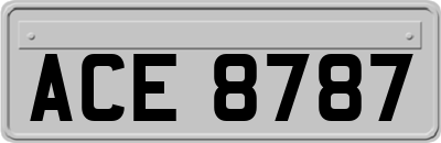 ACE8787