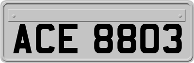 ACE8803