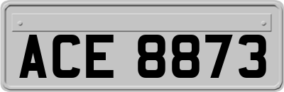ACE8873