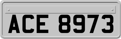 ACE8973