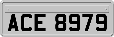 ACE8979