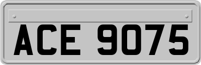 ACE9075