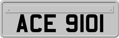 ACE9101