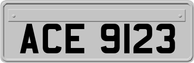 ACE9123