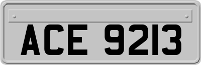 ACE9213