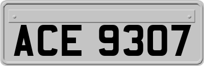 ACE9307