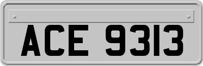 ACE9313