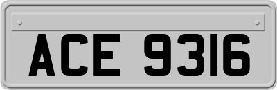 ACE9316
